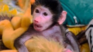 Люська-ФУТБОЛЬНЫЙ ФАНАТ смотрит любимые мультики)