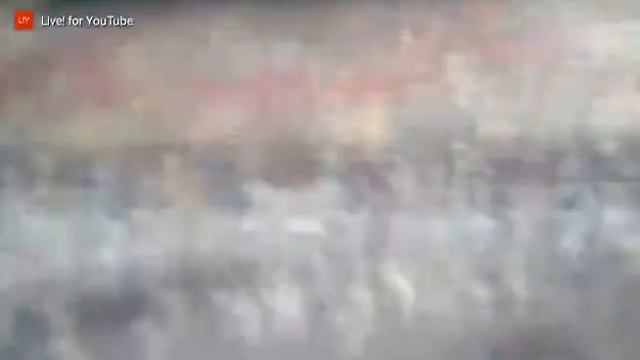 Пасивная акустика Phonic SEM 710 Plus смотреть онлайн