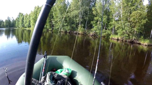 Рыбалка на секретном озере #2. 11 лебедей.