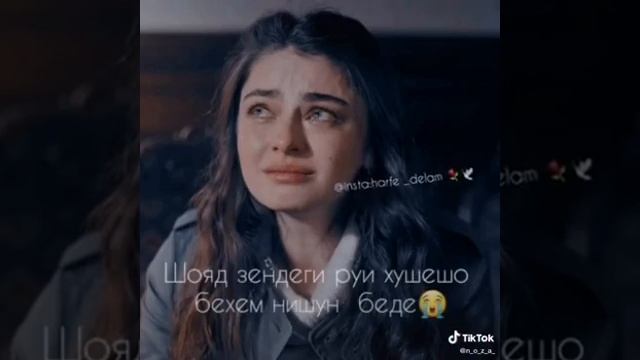 26 ноября 2020 г. смотреть онлайн