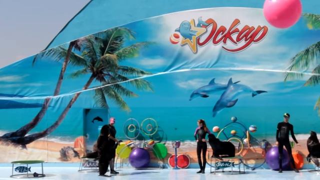 Дельфинарий в Кирилловке. Супер! Смотреть до конца! Дельфины рулят смотреть онлайн