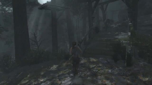 Tomb Raider - часть 9. Карта сокровищ - прибрежный лес смотреть онлайн