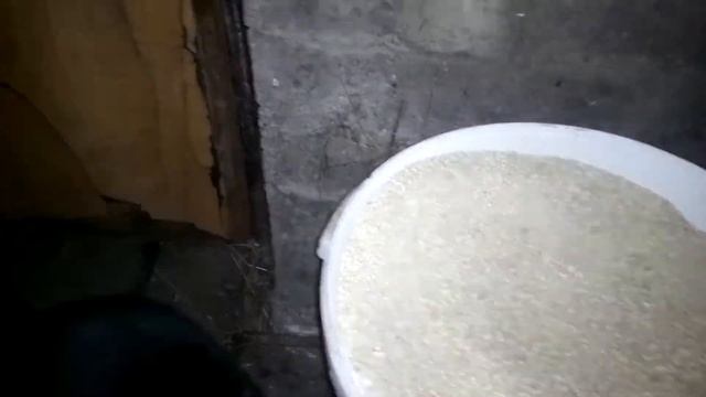 ЛПХ,методы кормления смотреть онлайн