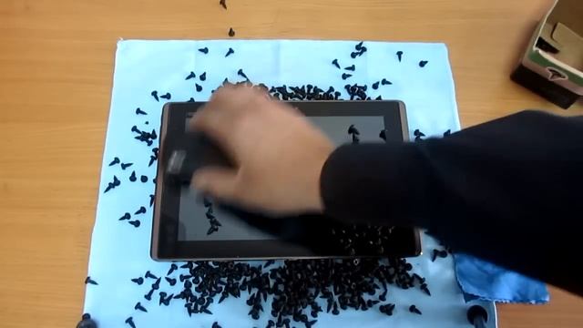 Защитная пленка на Asus TF 101тест на устойч.к царапинам.mp4 смотреть онлайн