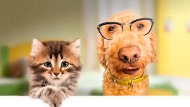 Поздравление на новый год 2013 смотреть онлайн