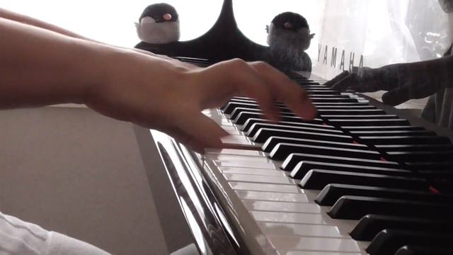 Chopin No.1- 　　ショパン　エチュードOp. 10-1　（Etude Op.10-1） смотреть онлайн