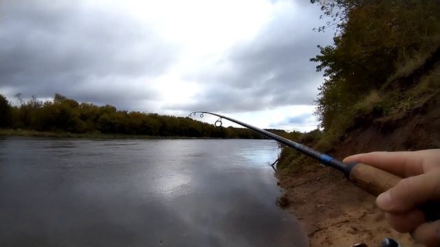 Осенний Джигурда!Словил Ноут Бук ASUS!Два удара судака! смотреть онлайн