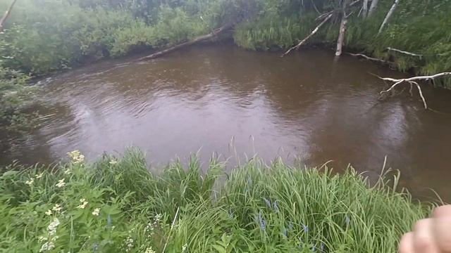 В тайгу за Хариусом смотреть онлайн