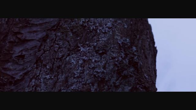 Canon EOS 1100D | Cinematic Video Test [Review/Test] смотреть онлайн