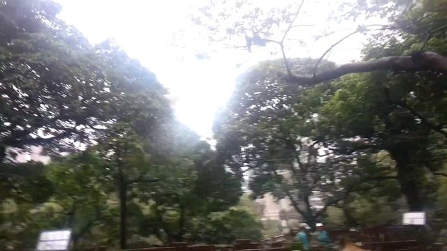 Гонконг Парк Птицы 2 смотреть онлайн