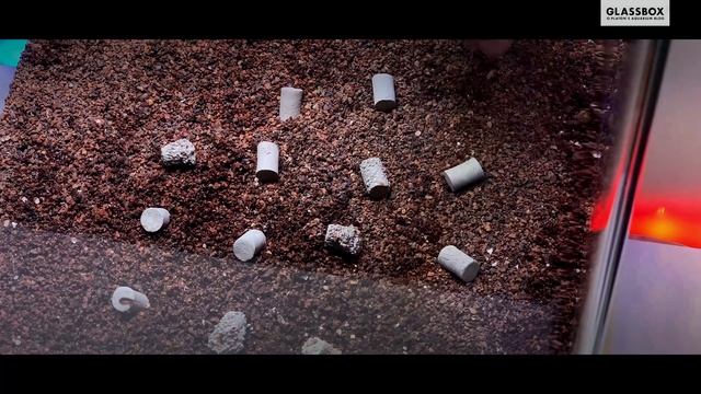 Аквариум Красная клумба во всех деталях. смотреть онлайн