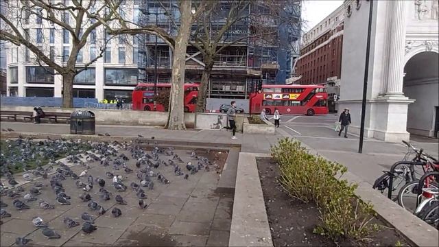 PIGEONS FEEDING FRENZY, MAN FEEDS HUNDREDS OF PIGEONS IN MARBLE ARCH AND THEY GO BANANAS! LONDON смотреть онлайн