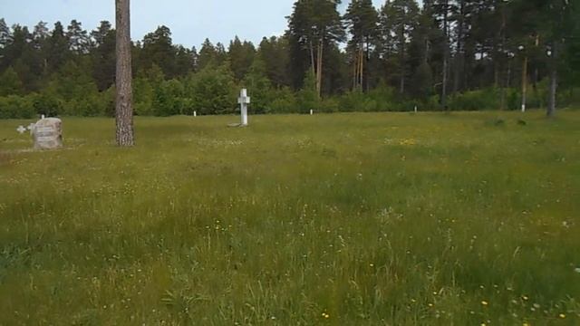 Велопробег в честь города Камешково и дня России смотреть онлайн