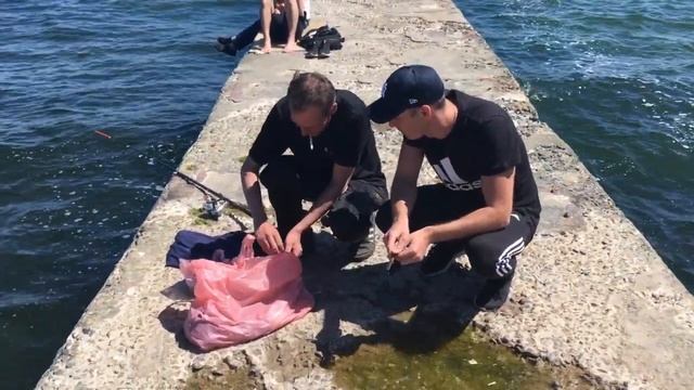 ОДЕССА ? ПЛЯЖИ Часть 2 (Выводы, Аркадия) смотреть онлайн