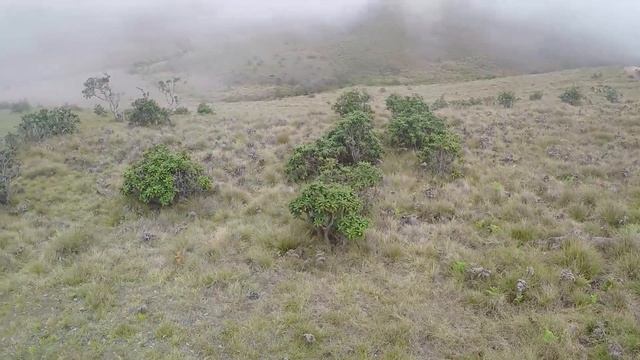 Horton Plains National Park In Sri Lanka