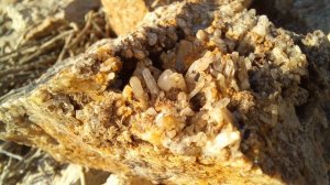 Кристаллы кварца. Поиск.