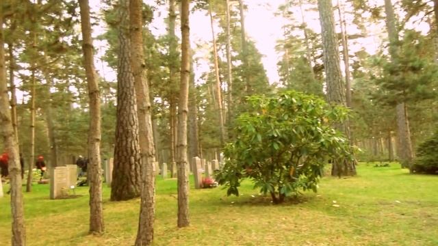 Швеция: Кладбище вошедшее в ЮНЕСКО в СТОКГОЛЬМЕ смотреть онлайн