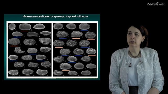Тесакова Е. М. - Специальные методы стратиграфии - Лекция 6 смотреть онлайн