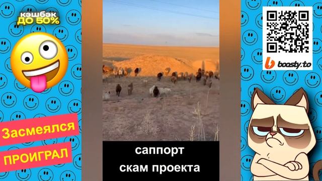 Я РЖАЛ ДО СЛЕЗ? 40 Минут ОТБОРНЫХ ПРИКОЛОВ 2023 Смешные видео - Лучшие ПРИКОЛЫ #48 смотреть онлайн