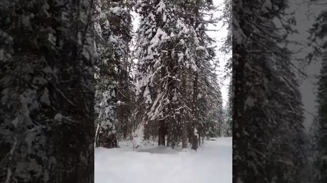 Стихотворение Друзьям Автор Ирина Крумплевская и песня Ирины Круг "Друзьям" смотреть онлайн