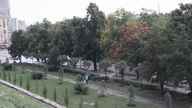 Харьков вырубают!!! Кто даёт указания рубить деревья в Харькове?!