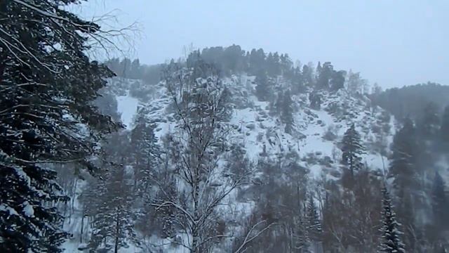 Белокуриха Терренкур Сказочный лес смотреть онлайн