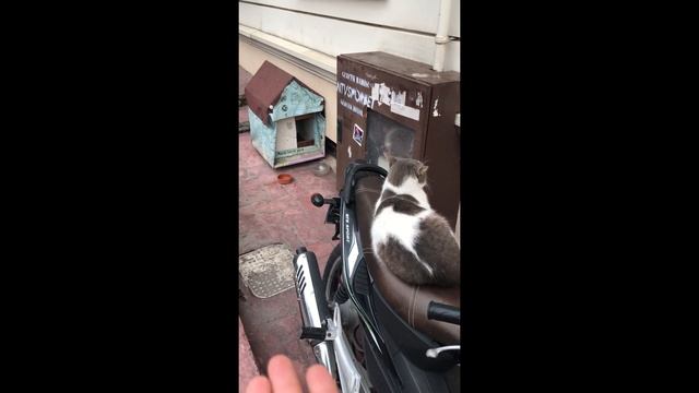 СТАМБУЛ Галатская Башня. GALATA TOWER ISTANBUL ?? смотреть онлайн