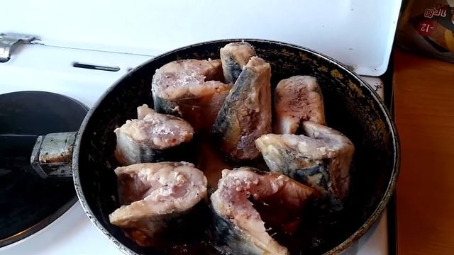 Консерва из скумбрии смотреть онлайн