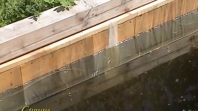 Водоемы смотреть онлайн