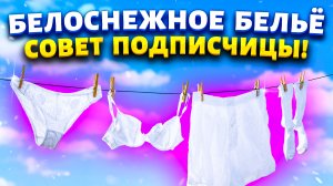 Заношенное нижнее бельё и бюстгальтер не выбрасываю, подписчица научила как сделать всё белоснежным.