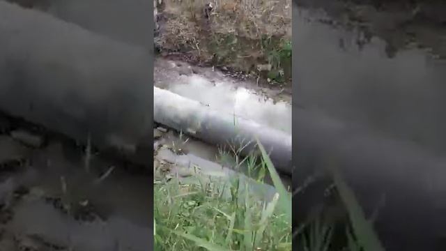 Работа водяного насоса Гидротаран Рогозина ГТ-500 на дренажном канале. смотреть онлайн