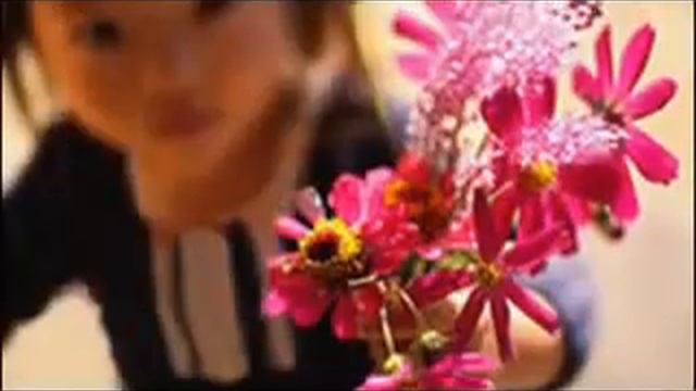 Солнечный круг. смотреть онлайн