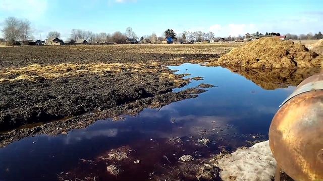 Сколько стоит осеменение коров.... смотреть онлайн
