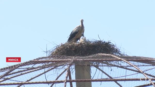 Приходите, а мы Вам покажем и расскажем смотреть онлайн