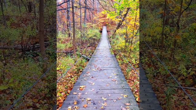 Прославим Бога одной семьёю. Христианская песня: Кто любит Господа. смотреть онлайн