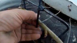 ЛОВУШКА на дикую УТКУ ! ПОЙМАЛ блин ГОМУНКУЛА  !!! СТРАШНОГО и УЖАСНОГО !!!