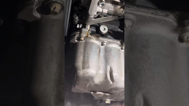 OMG!! Another one CHEVROLET CRUZE engine oil Leak!!! Liqueo de aceite!!! смотреть онлайн