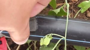 Как заделать течь трубы капельного орошения,или залатать отверстие большего диаметра