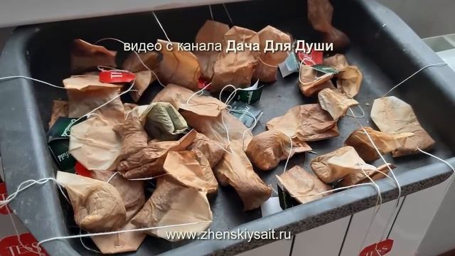 Пищевые ОТХОДЫ как органические УДОБРЕНИЯ для огорода смотреть онлайн