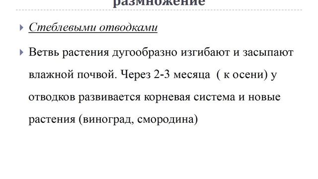 Презентация Тема 3 Размножение растений смотреть онлайн