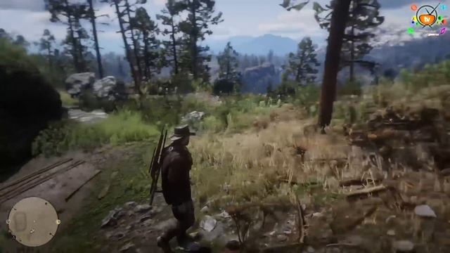 Red Dead Redemption 2 — Удивительные Пасхалки и секреты, которые вы могли пропустить смотреть онлайн