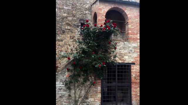 Via Francigena 2017 with Lawrence Bonavia, Jennifer Lawson and David Chick смотреть онлайн