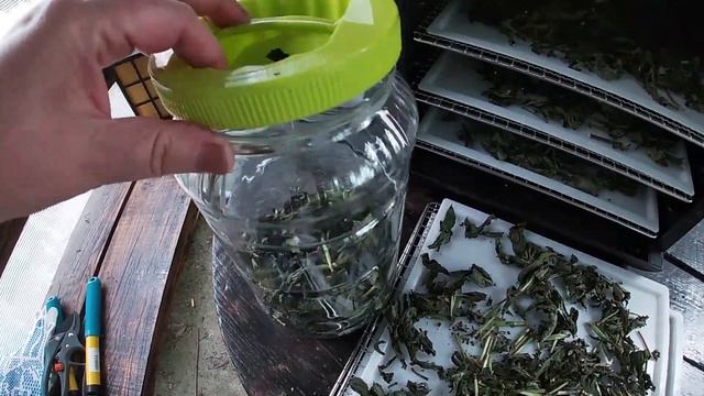 Сезонные заготовочки. смотреть онлайн