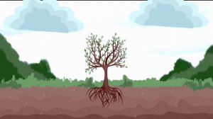 Фотосинтез | Photosynthesis | Animation