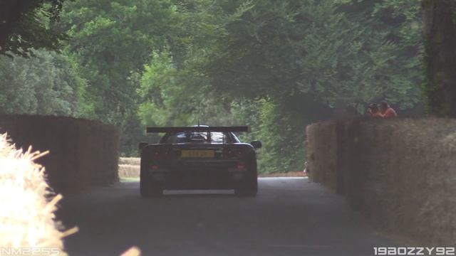 McLaren F1 GTR Great BMW V12 Engine Sound & Accelerations! смотреть онлайн