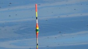 Рыбалка 25 июня! За крупным линем на удочки с поплавком и особой оснасткой!