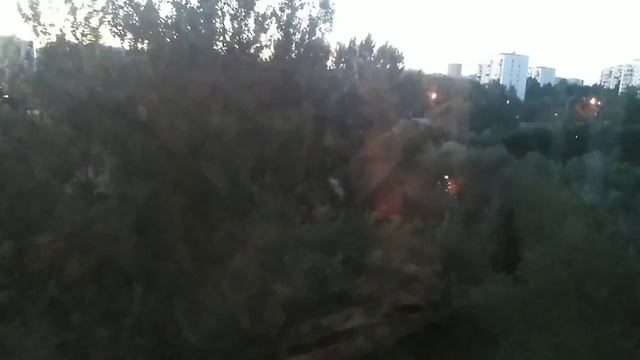 VLOG: трусы в банке, wildberries, фикс прайс, ремонт смотреть онлайн