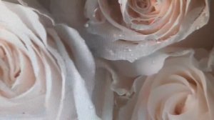 Борис Екимов. Забор. Короткие аудио рассказы, слушать онлайн