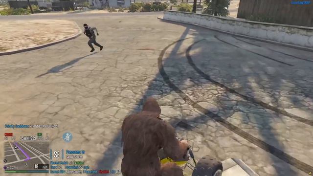 BIGFOOT TROLLS COPS | GTA 5 RP смотреть онлайн