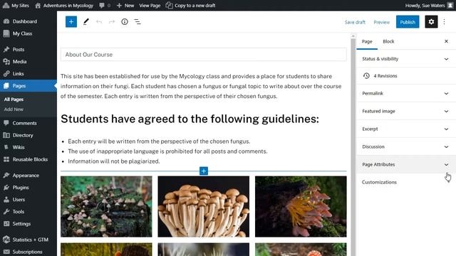 The Block Editor Settings Sidebar Menu смотреть онлайн